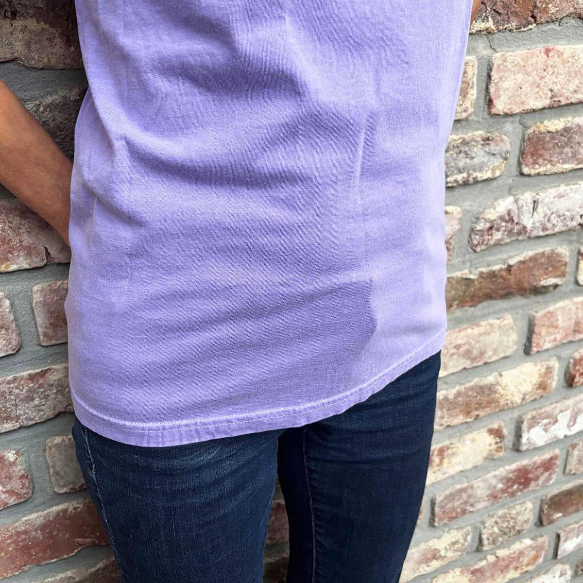 Democracy Shirt with Article 1 motif Premium T-Shirt