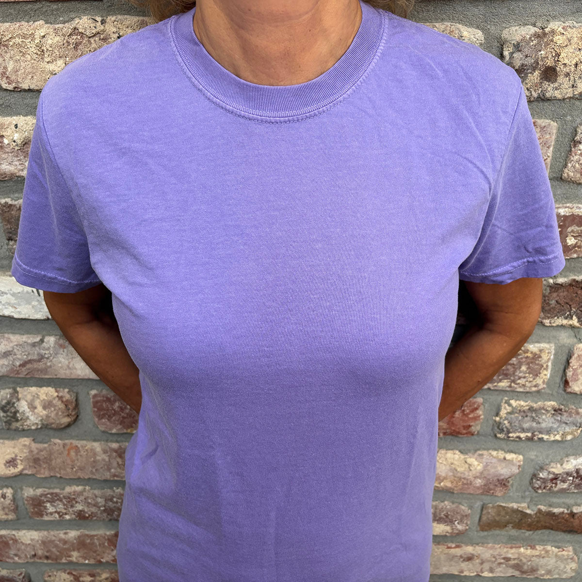 Democracy Shirt with Article 1 motif Premium T-Shirt